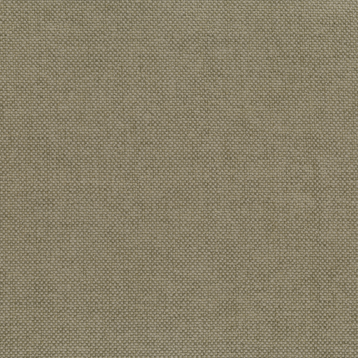 Ткань Rubelli Sherlock 30700_8  купить в Москве по выгодной цене|Интернет-магазин дизайнерских решений Decorwall