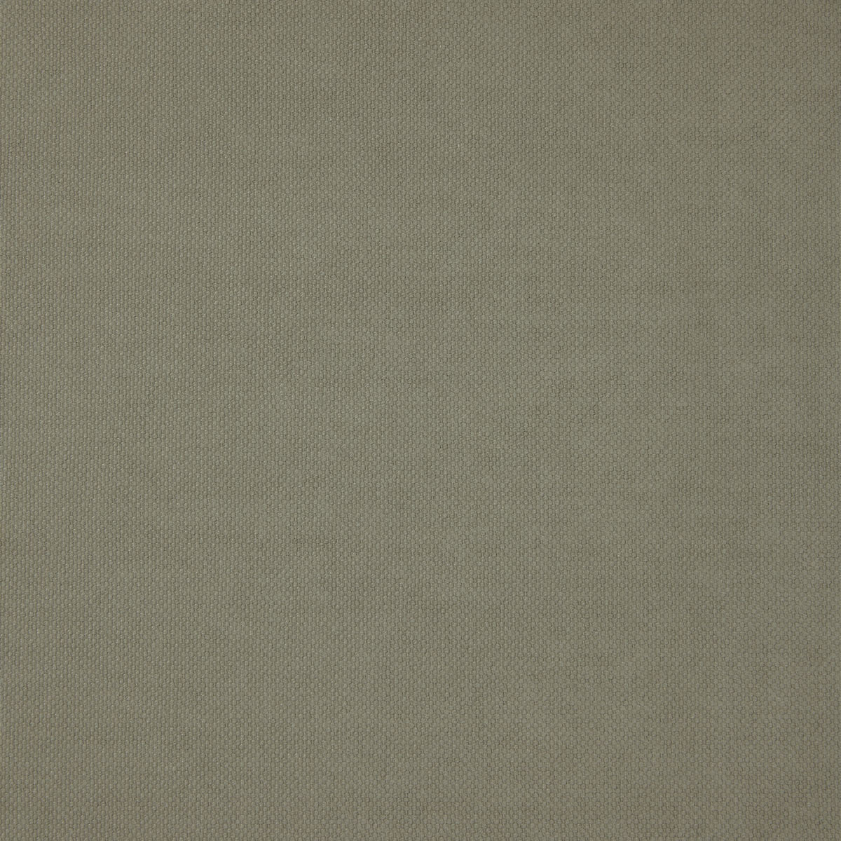 Ткань Pepe Penalver Madeira MADEIRA-29  купить в Москве по выгодной цене|Интернет-магазин дизайнерских решений Decorwall