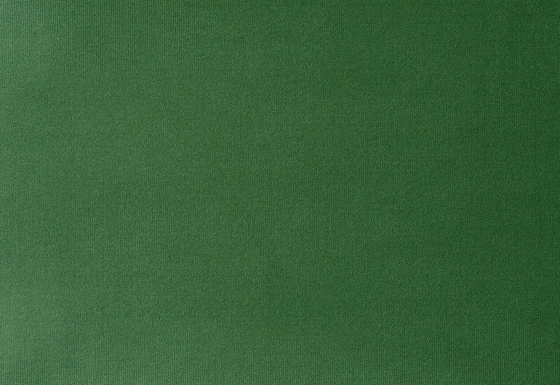 Ткань Dedar Adamo & Eva ADAMO_00144  купить в Москве по выгодной цене|Интернет-магазин дизайнерских решений Decorwall