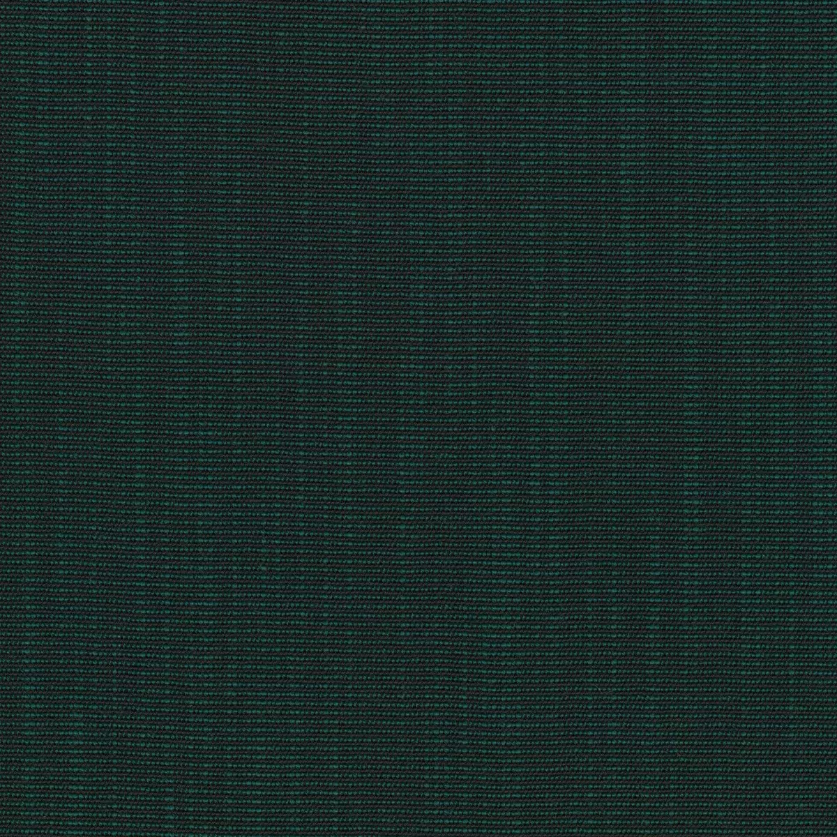 Ткань Kvadrat Raas by Doshi Levien 7913-0982  купить в Москве по выгодной цене|Интернет-магазин дизайнерских решений Decorwall