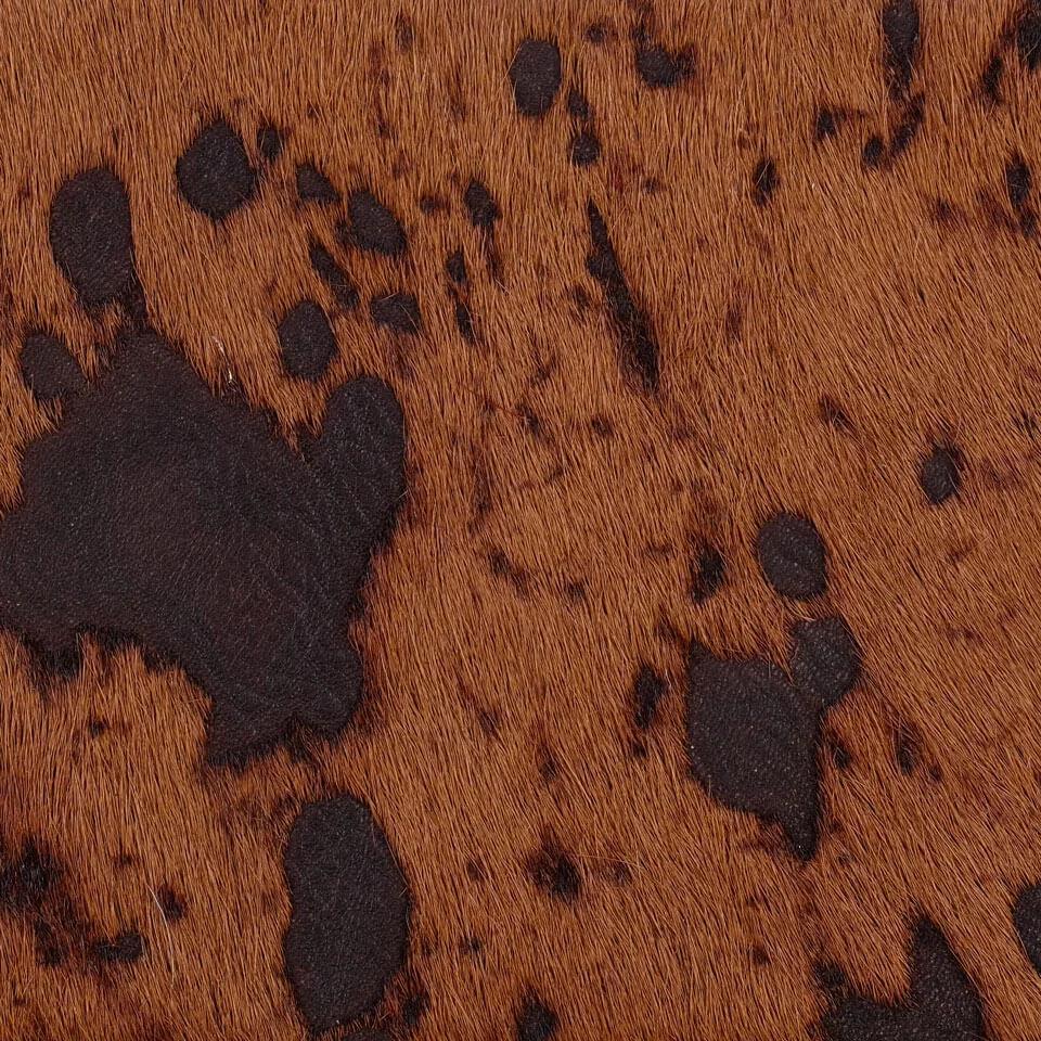   vitellina-pelo-baio-mok 