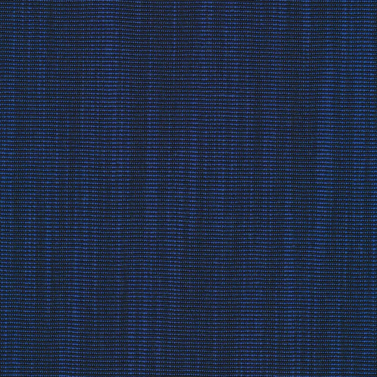 Ткань Kvadrat Raas by Doshi Levien 7913-0772  купить в Москве по выгодной цене|Интернет-магазин дизайнерских решений Decorwall