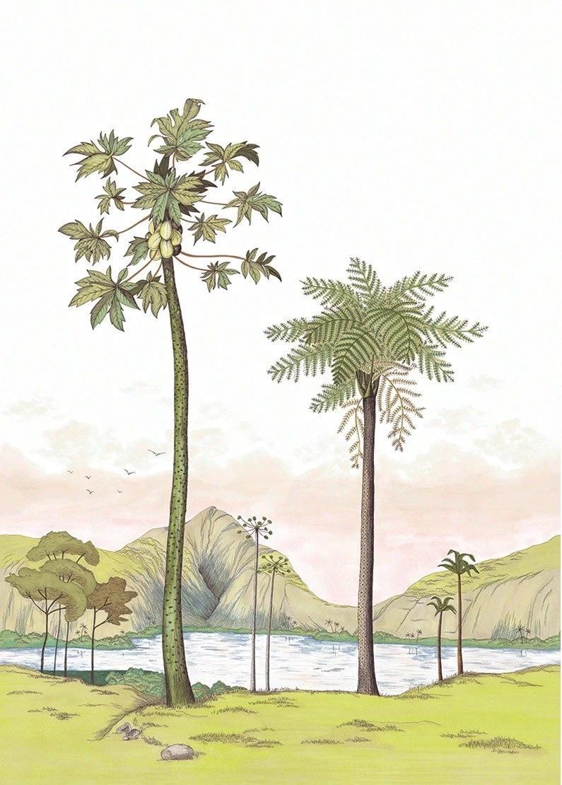 Обои для стен   Cuba 84377454 