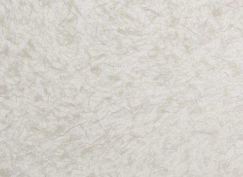 Обои для стен Biden Designs Textured Washi Paper T-01-Feather-Snow-close-up 