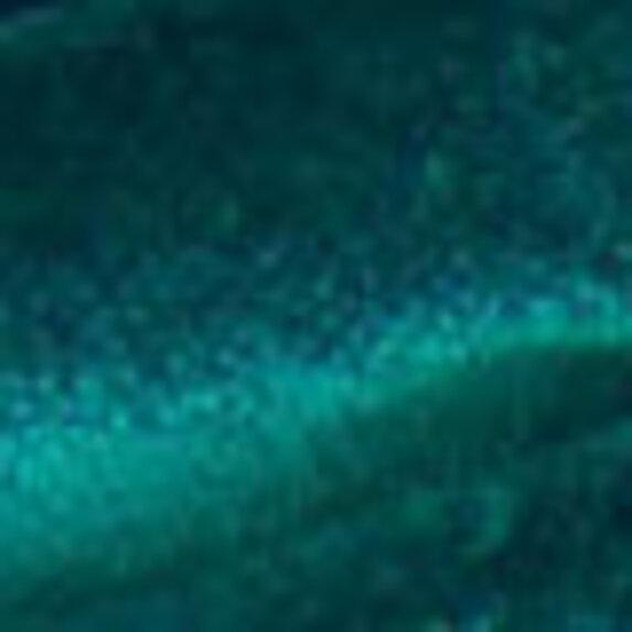 Ткань Zimmer + Rohde Infinity Plus 10660666  купить в Москве по выгодной цене|Интернет-магазин дизайнерских решений Decorwall