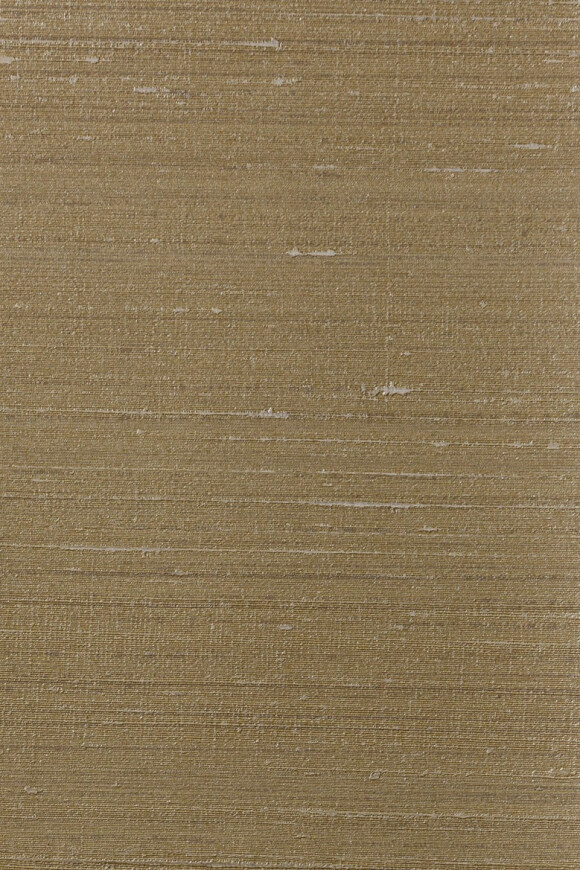 Метражные обои для стен  Arte Contract Silkx 67010 