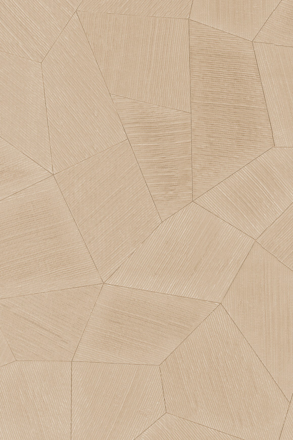 Метражные обои для стен  Arte Contract Aurora 67164 