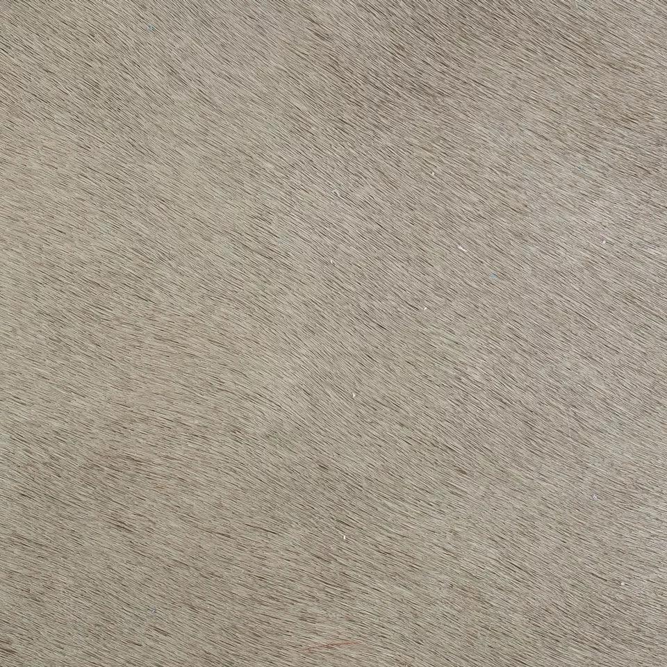   vitellina-pelo-olive 