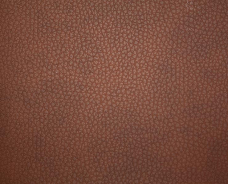Ткань Alessandro Bini Eco leather WW12573 