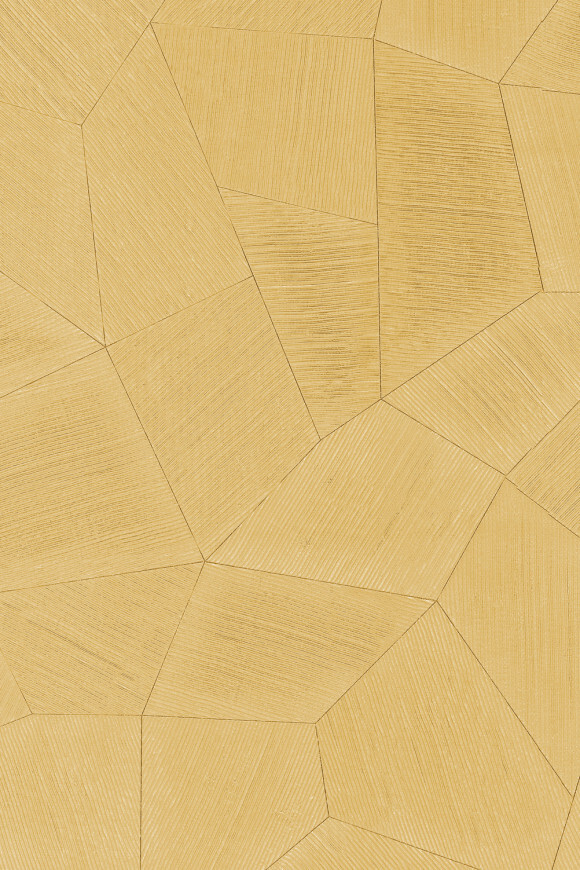 Метражные обои для стен  Arte Contract Aurora 67169 