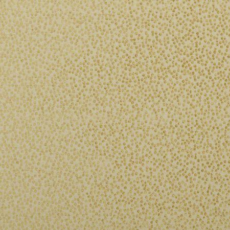 Ткань Clarke&Clarke Cesare F0402-17  купить в Москве по выгодной цене|Интернет-магазин дизайнерских решений Decorwall