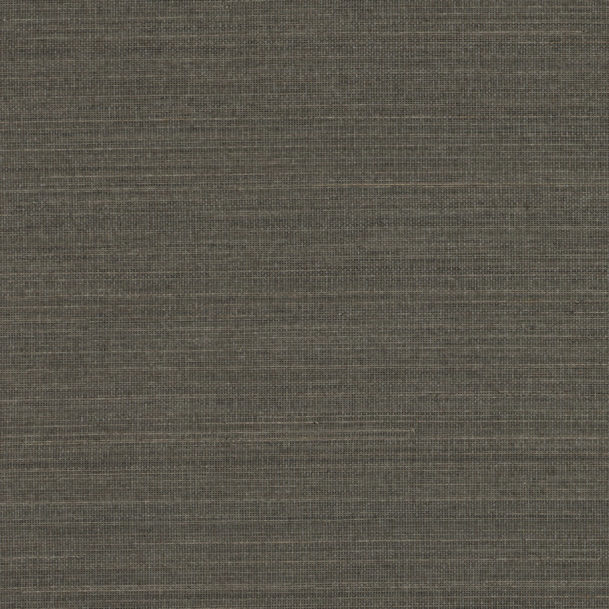 Метражные обои для стен  Nobilis Abaca ABA31 