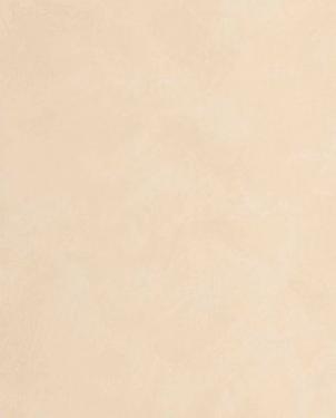 Обои для стен  Caselio Origine 106081244 