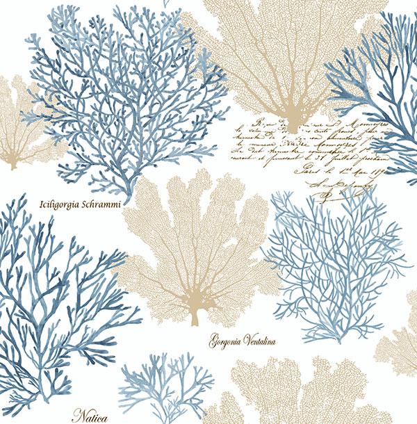 Обои для стен  Jaima Brown Charleseton Home jb51508 