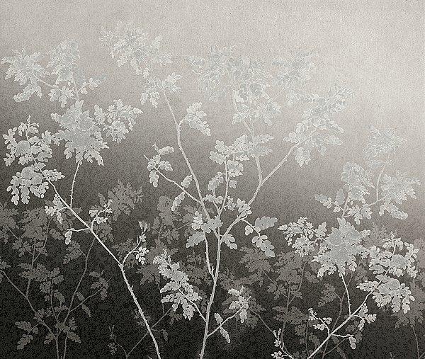 Обои для стен  Tres Tintas Journeys JO1006-3 