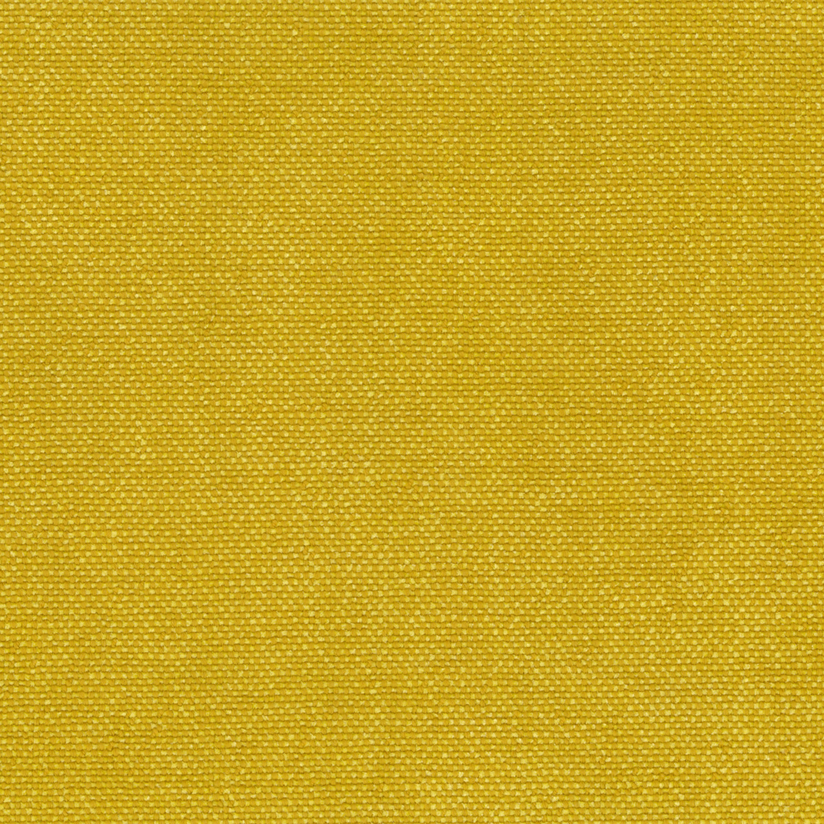 Ткань Rubelli Sherlock 30700_24  купить в Москве по выгодной цене|Интернет-магазин дизайнерских решений Decorwall