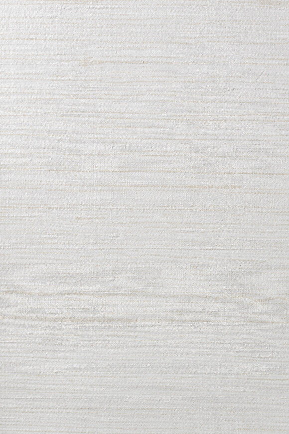 Метражные обои для стен  Arte Contract Silkx Raw 67491 