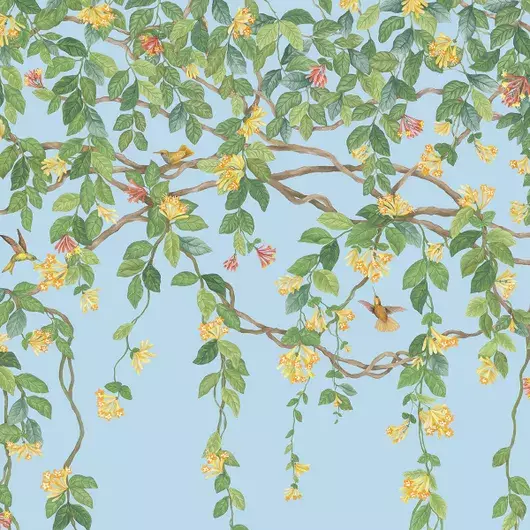 Обои для стен  Cole & Son Selection of Hummingbirds 124-2011 