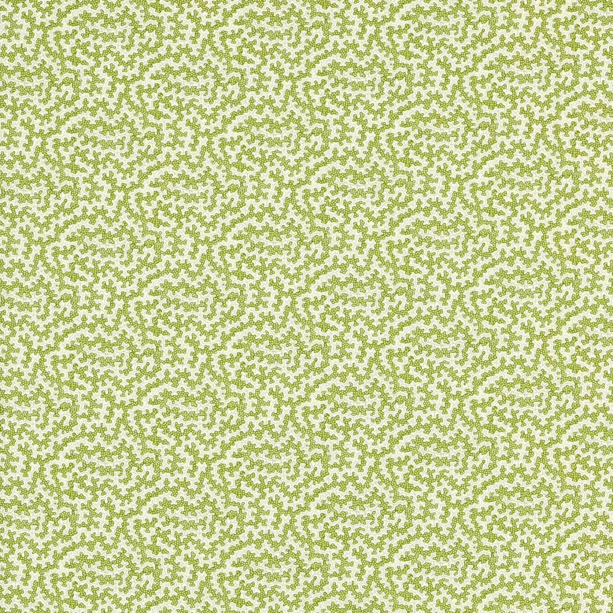 Ткань  Indoor Outdoor Prints 227204  купить в Москве по выгодной цене|Интернет-магазин дизайнерских решений Decorwall