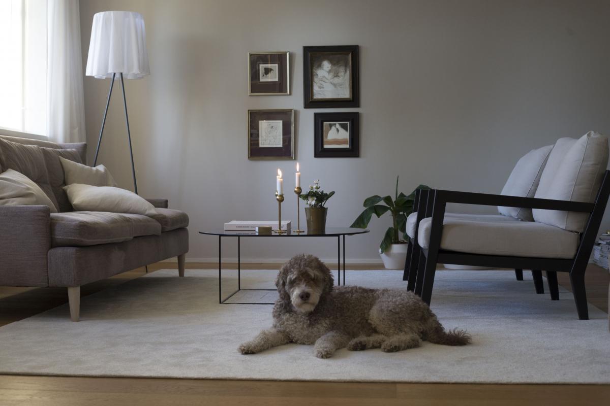 Ковер    Hattara white with dog 