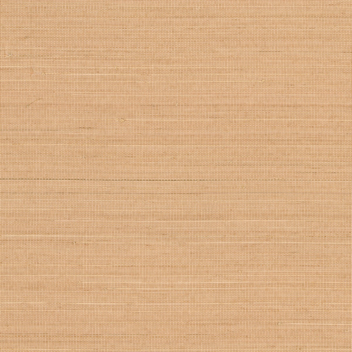 Метражные обои для стен  Nobilis Abaca ABA39 