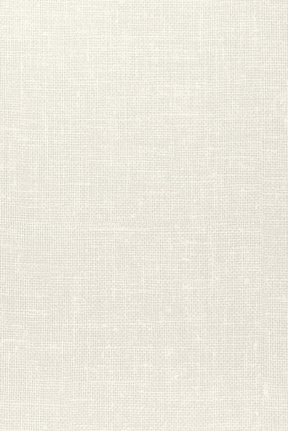 Метражные обои для стен  Arte Contract Jutex 67621 