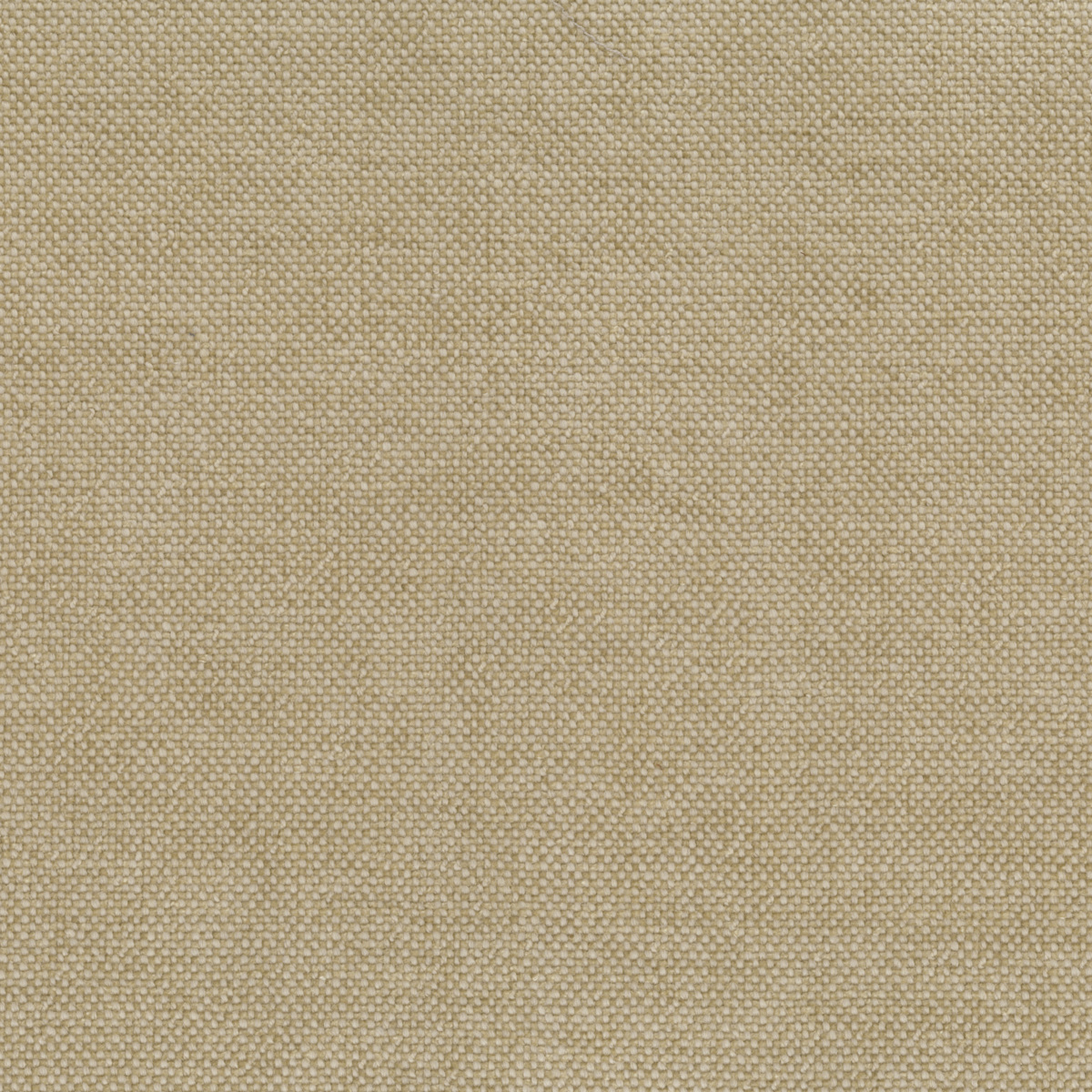 Ткань Rubelli Sherlock 30700_5  купить в Москве по выгодной цене|Интернет-магазин дизайнерских решений Decorwall