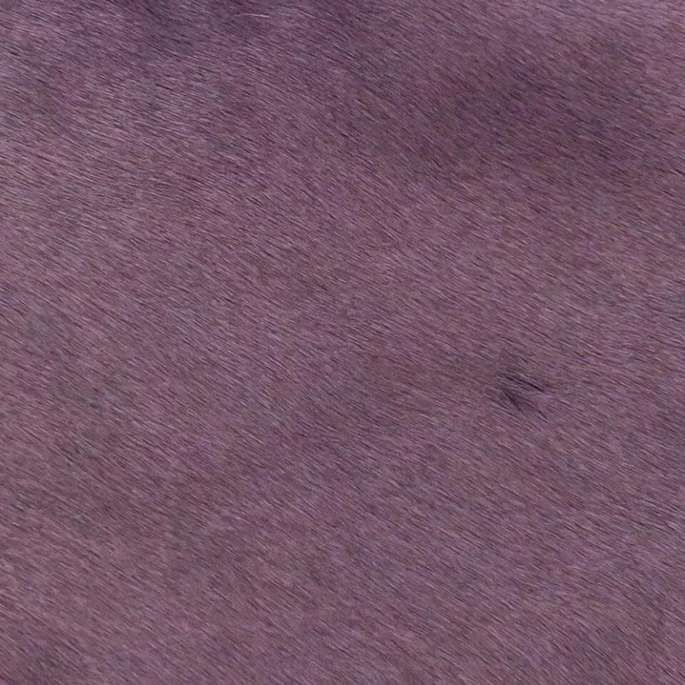   vitellina-pelo-violetta 