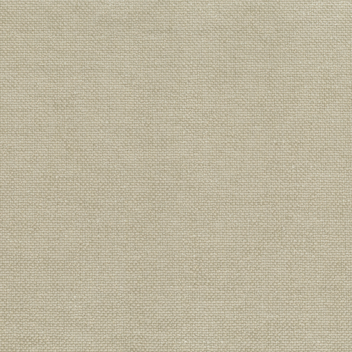 Ткань Rubelli Sherlock 30700_2  купить в Москве по выгодной цене|Интернет-магазин дизайнерских решений Decorwall