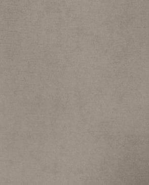 Обои для стен  Bernardo Bartalucci Coco Art 5099_18 