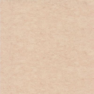 Обои для стен  Caselio Beton 2 101482551 