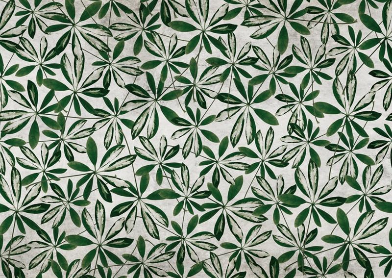 Обои для стен  Wall&Deco 2015 Contemporary Wallpaper Jungle reloaded 