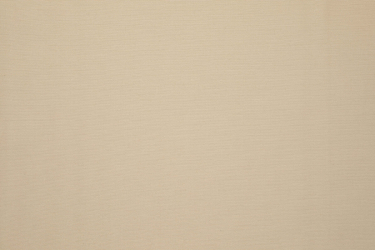 Ткань Lelievre Absolu 3241_19  купить в Москве по выгодной цене|Интернет-магазин дизайнерских решений Decorwall