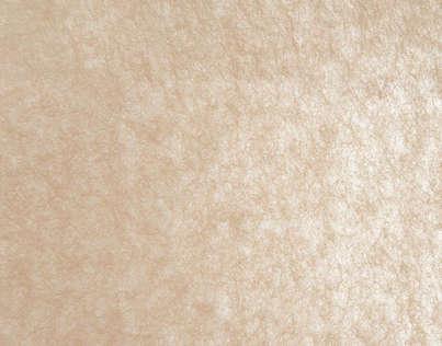 Метражные обои для стен  Pierre Frey Racines FP359001 