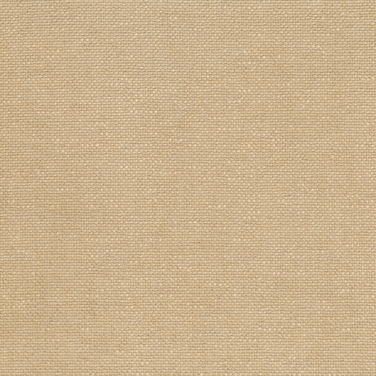 Ткань Rubelli Sherlock 30700_6  купить в Москве по выгодной цене|Интернет-магазин дизайнерских решений Decorwall