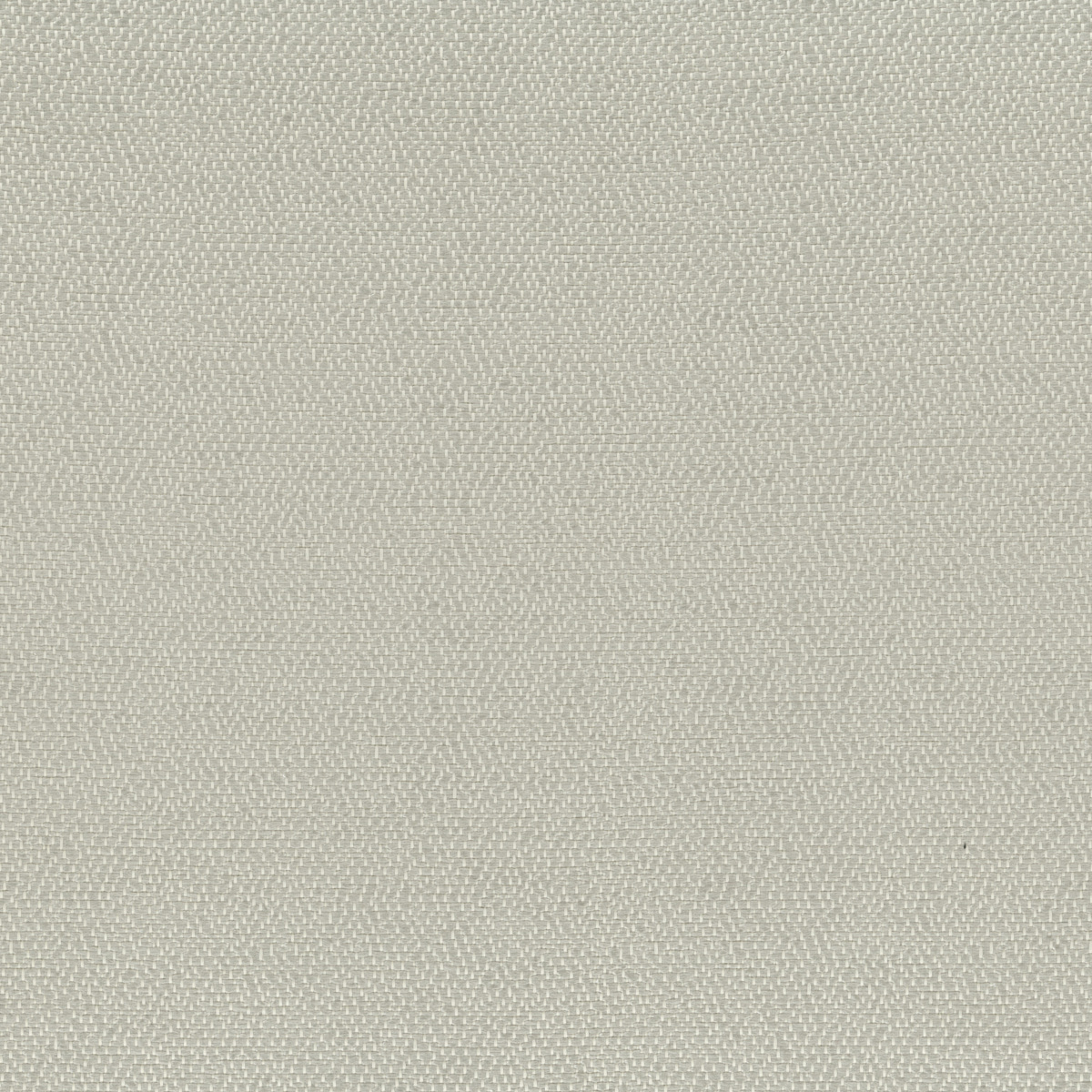 Ткань Rubelli Sharky 30703_16  купить в Москве по выгодной цене|Интернет-магазин дизайнерских решений Decorwall