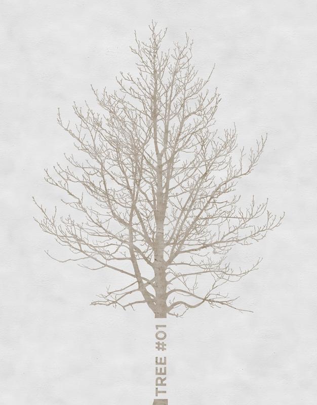 Обои для стен  Wall&Deco CODE 2013 OUT SYSTEM OUTO_TR1303_1 