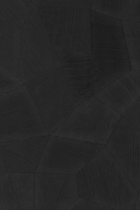 Метражные обои для стен  Arte Contract Aurora 67171 