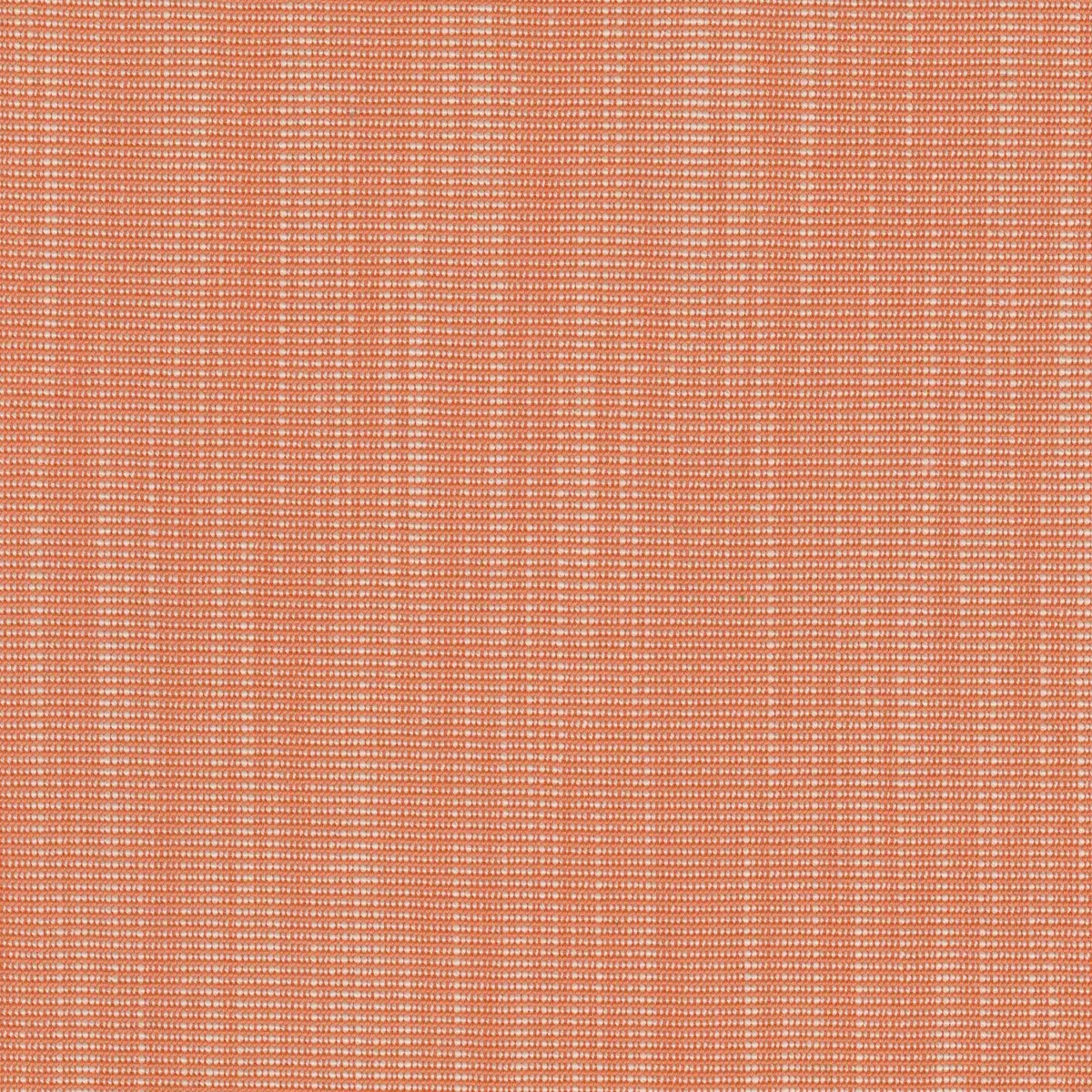 Ткань Kvadrat Raas by Doshi Levien 7913-0532  купить в Москве по выгодной цене|Интернет-магазин дизайнерских решений Decorwall