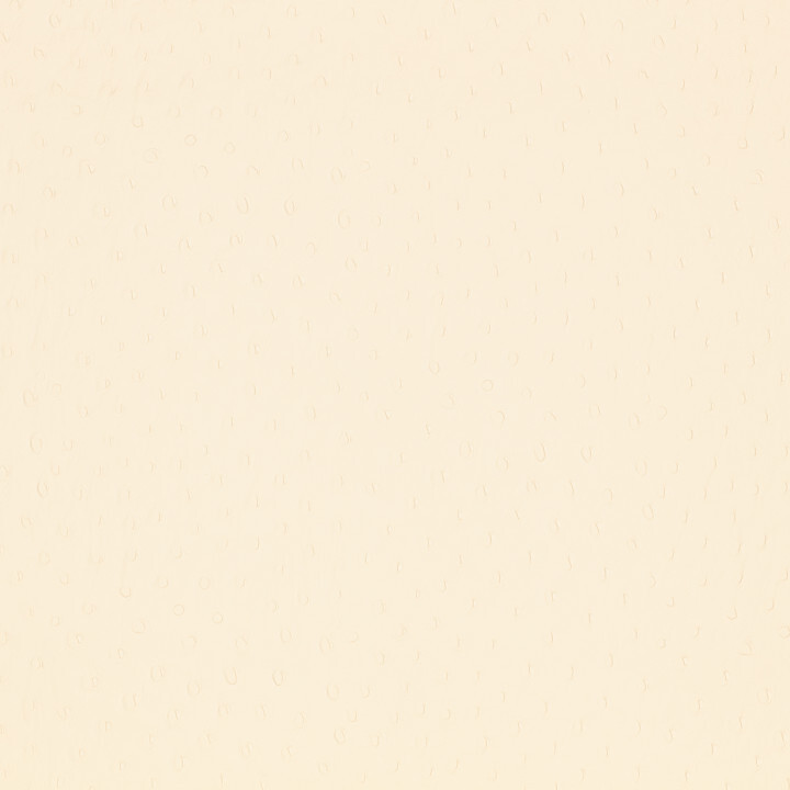 Ткань Kirkby design Hide Vegan Leathers K5355-01  купить в Москве по выгодной цене|Интернет-магазин дизайнерских решений Decorwall