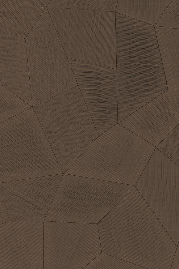 Метражные обои для стен  Arte Contract Aurora 67167 