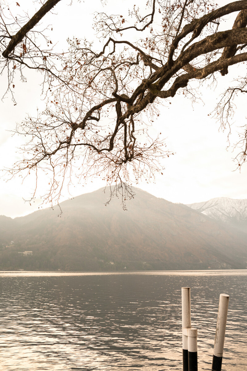 Ткань Dedar Albore T18079_001  купить в Москве по выгодной цене|Интернет-магазин дизайнерских решений Decorwall 1