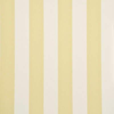 Обои для стен  G.P. and J.Baker Oleander Wallpaper BW45015_3 