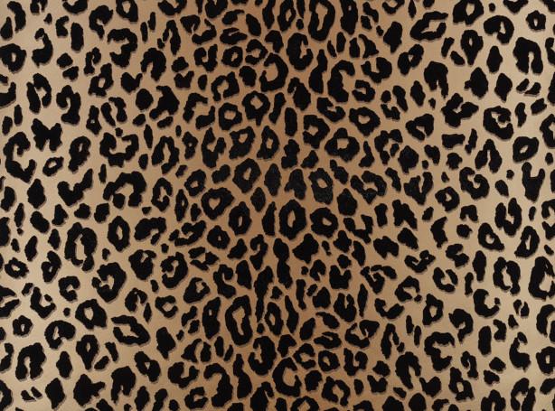 Обои для стен   Temperley Wallcoverings W454-01 