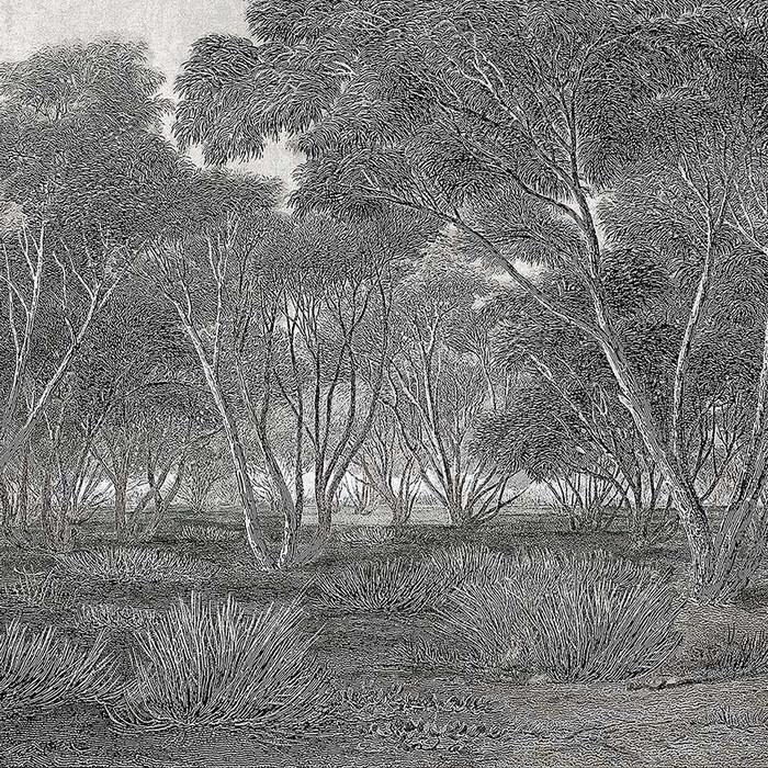 Обои для стен  Faboie Whispering In The Jungle F-WJ6001 