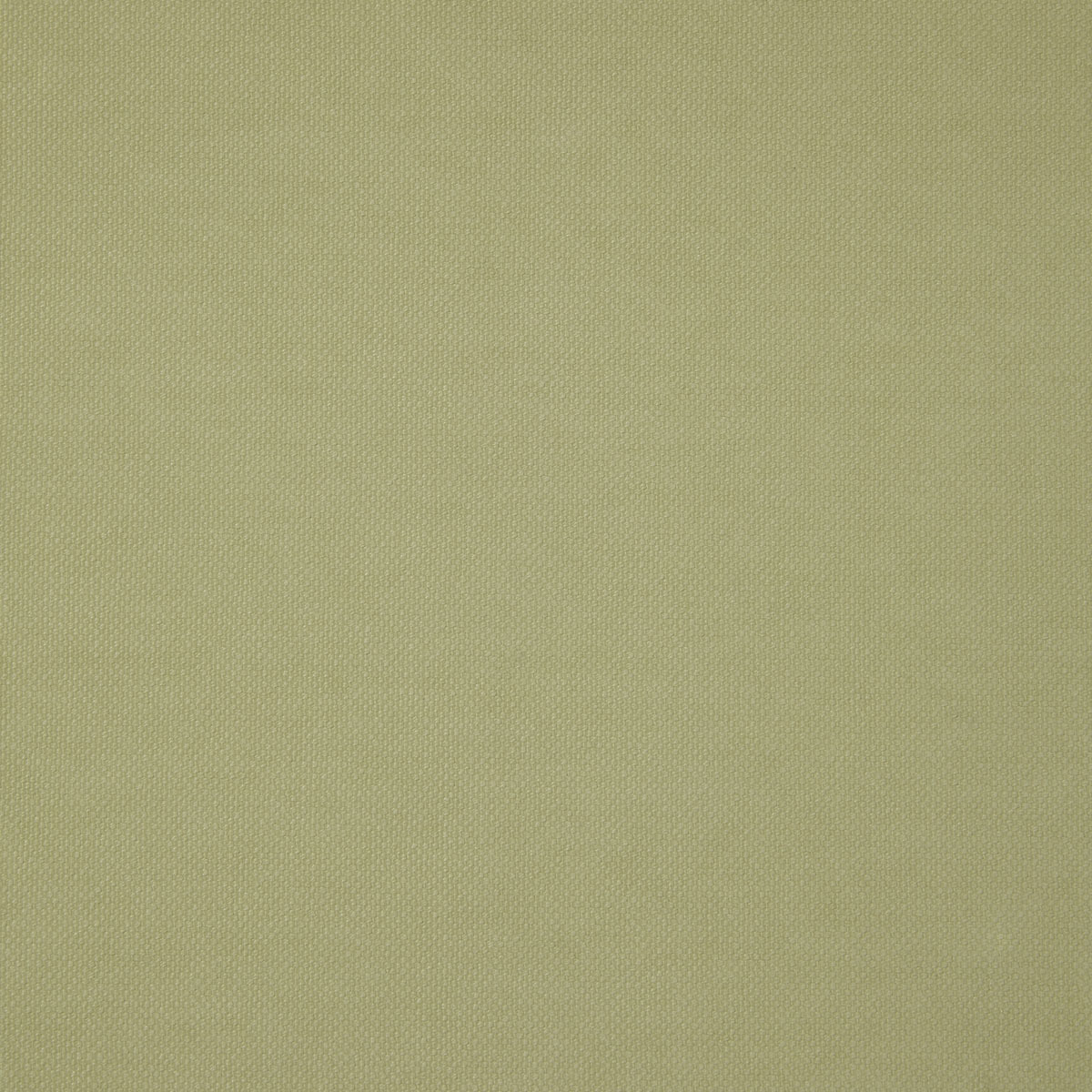 Ткань Pepe Penalver Madeira MADEIRA-03  купить в Москве по выгодной цене|Интернет-магазин дизайнерских решений Decorwall