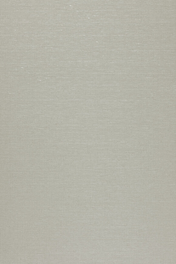 Метражные обои для стен  Arte Contract Mistral 67614 