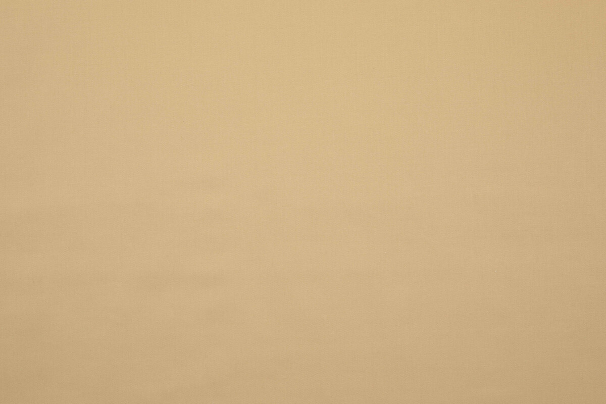 Ткань Lelievre Absolu 3241_20  купить в Москве по выгодной цене|Интернет-магазин дизайнерских решений Decorwall