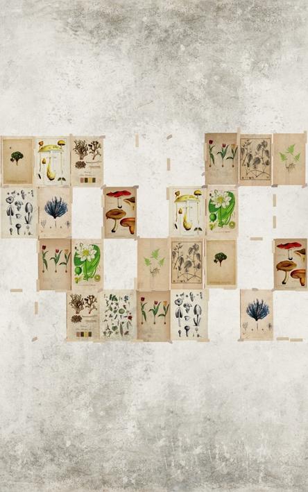 Обои для стен  Wall&Deco Life WDJV1402 