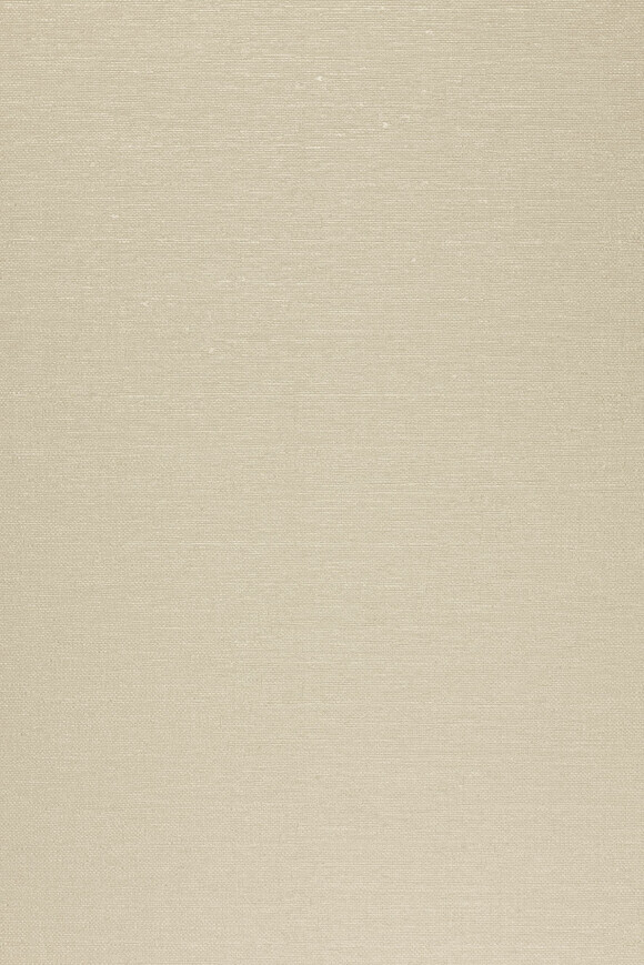 Метражные обои для стен  Arte Contract Mistral 67613 